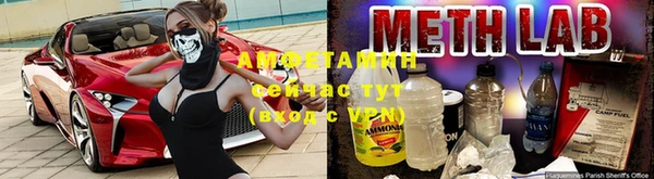 прущая мука Инсар